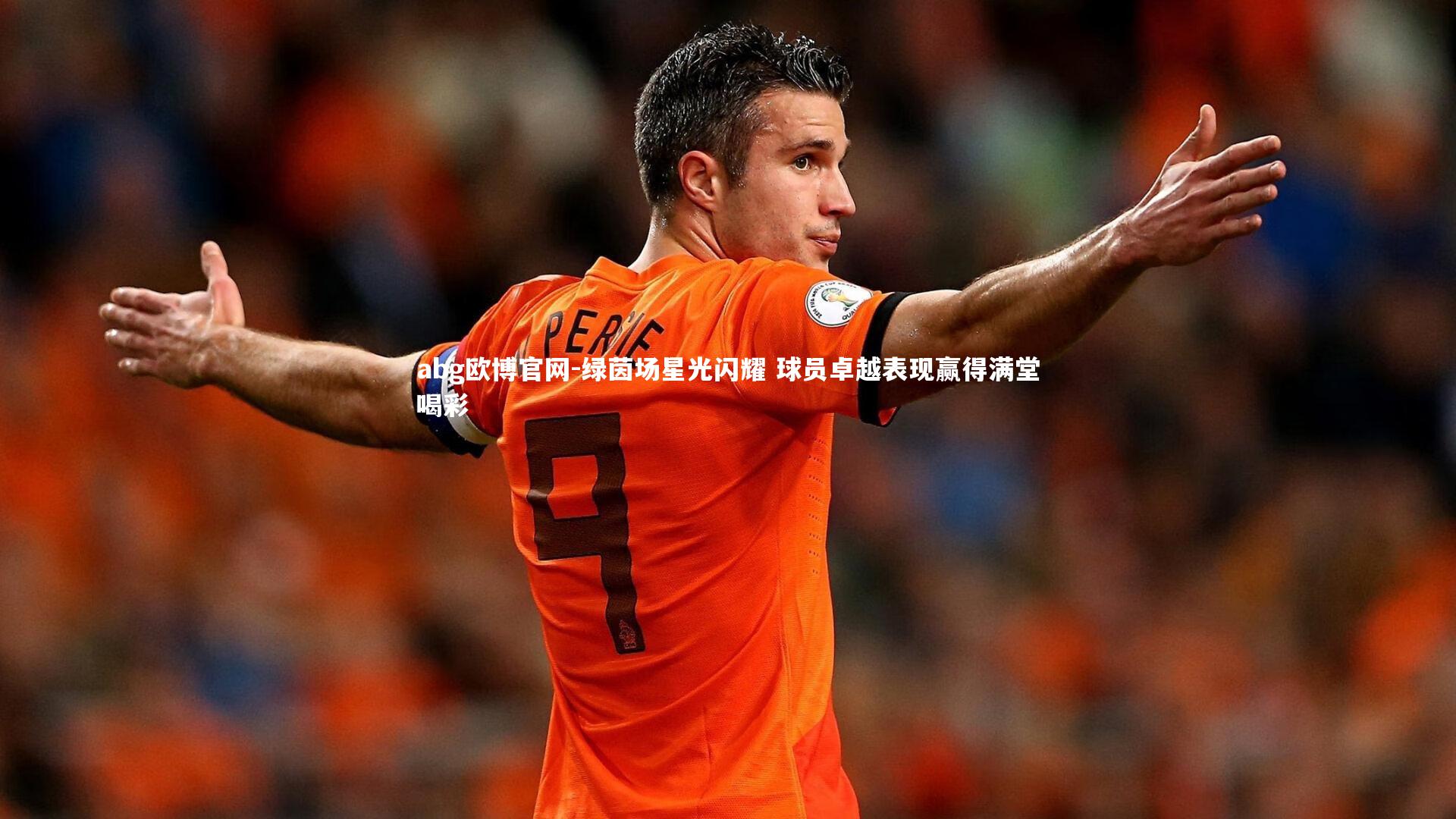绿茵场星光闪耀 球员卓越表现赢得满堂喝彩