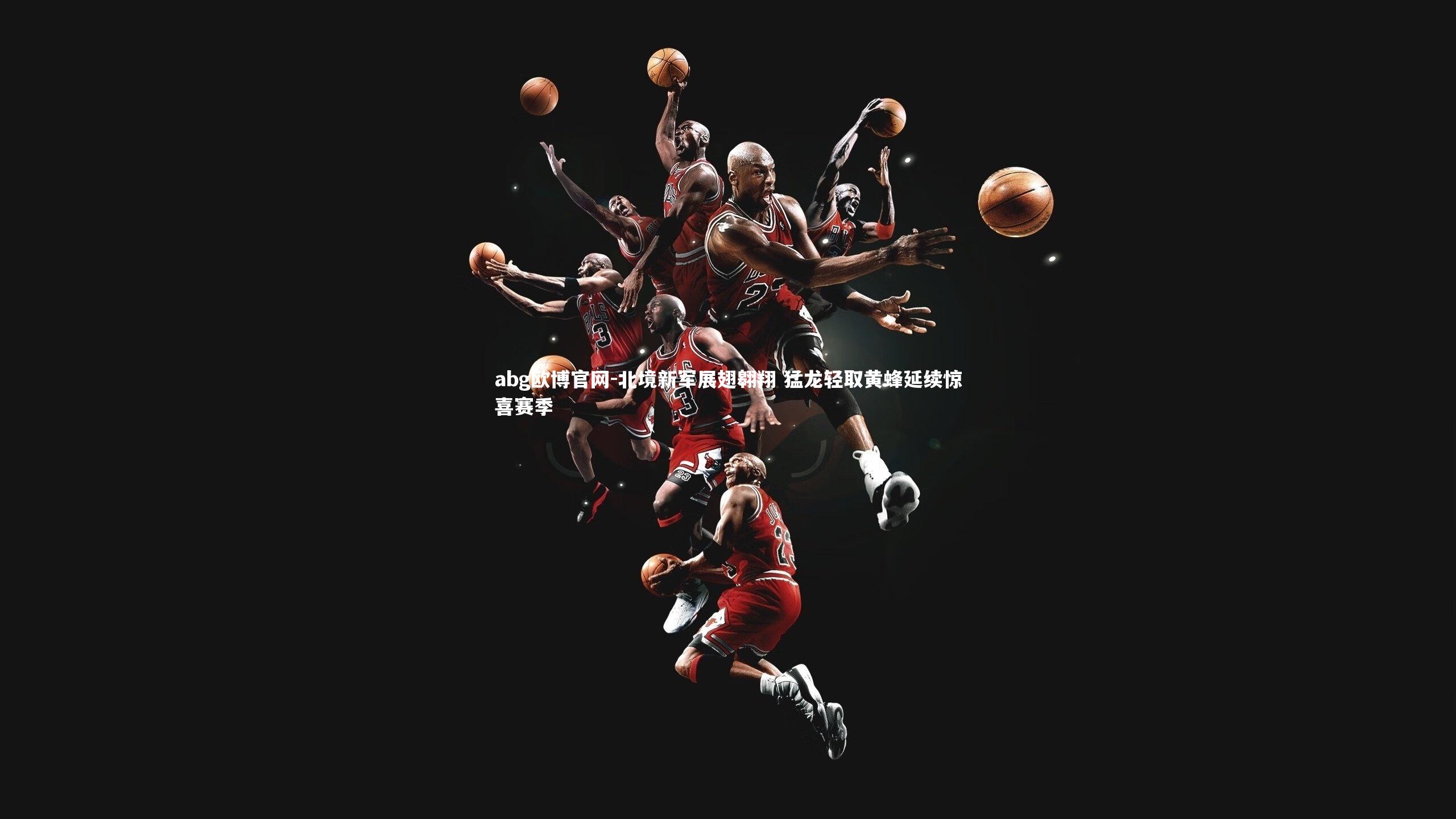 北境新军展翅翱翔 猛龙轻取黄蜂延续惊喜赛季