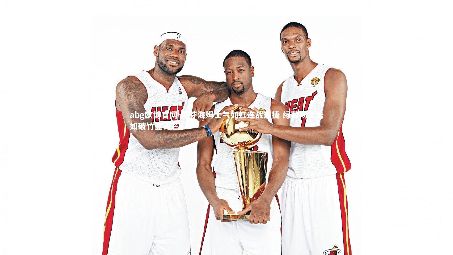 abg欧博官网-霍芬海姆士气如虹连战连捷 绿茵场上势如破竹显锋芒